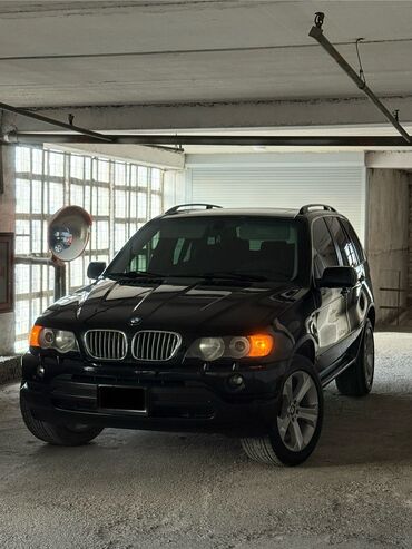 BMW: BMW X5: 2002 г., 4.4 л, Автомат, Бензин, Внедорожник — 2