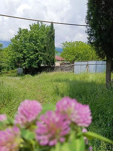 kredit ile: 3 otaqlı, 70 kv. m, Kredit yoxdur, Təmirsiz — 3