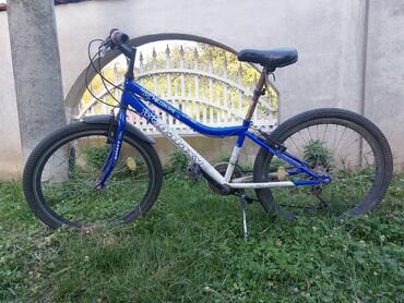 evropska boja rozeusa sgornji deo brete: Bicycles