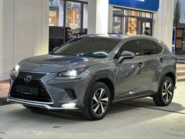 тайотта марк 2: Lexus NX: 2021 г., 2 л, Автомат, Бензин