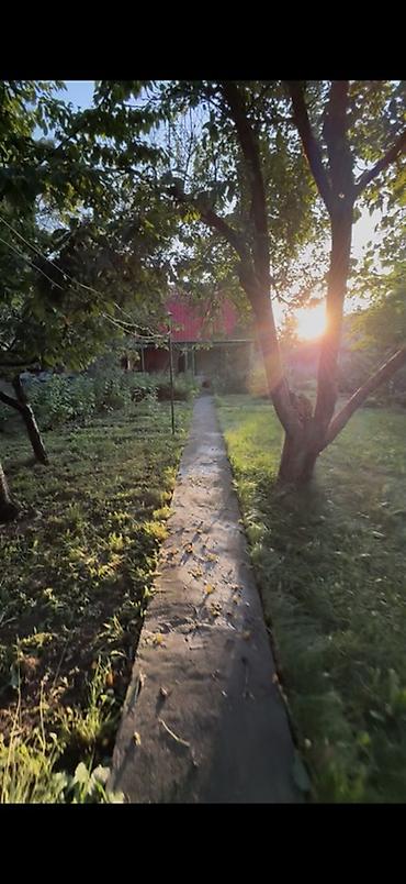 🏡Продается дача в Горной Маявке (ООС Магисталь). Удобный заезд — 3