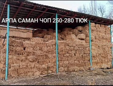 узи для коров: АРПА САМАН 250-280 ТЮК. ТЮК ЧОН ООР, АНЧА МЫНЧА КАМЫШ АРАЛАШ