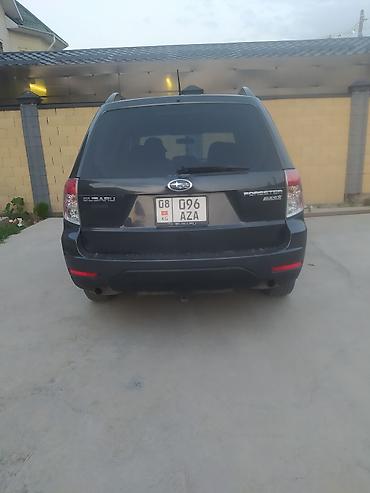 subaru outback 2007: Subaru Forester: 2009 г., 2.5 л, Автомат, Бензин, Кроссовер — 3