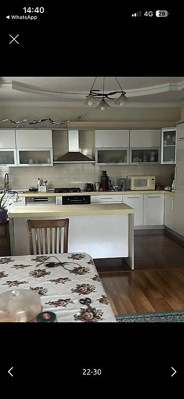 Долгосрочная аренда домов: 350 м², 6 комнат и более, БГУ — 22