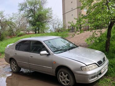 Nissan Primera: 1997 г., 1.6 л, Механика, Бензин, Хэтчбэк