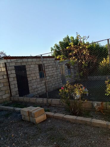 Bağ evlərinin satışı: Satılır: bağ sahəsi və yaşayış evi - Tikinti: qala-daşı divarlar — 4