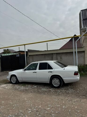 Mercedes-Benz: Mercedes-Benz W124: 1993 г., 2.2 л, Механика, Бензин, Седан
