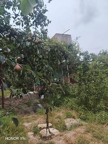 ucuz evler gence: Xaçmaz, 60 kv. m, 3 otaqlı, Hovuzsuz, Qaz, Artezian quyusu, Kanalizasiya — 2