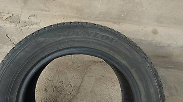 зимний: Шины 205 / 60 / R 16, Зима, Б/у, Комплект, Легковые, Dunlop — 1