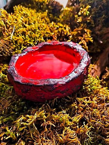 Зоотовары: 🌿 Украшения и декорации для аквариумов и террариумов 🌿 Продаю — 4