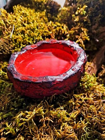 Зоотовары: 🌿 Украшения и декорации для аквариумов и террариумов 🌿 Продаю — 6