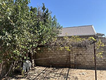 Həyət evləri və villaların satışı: Binə 3 otaqlı, 250 kv. m, Kredit yoxdur, Orta təmir — 4