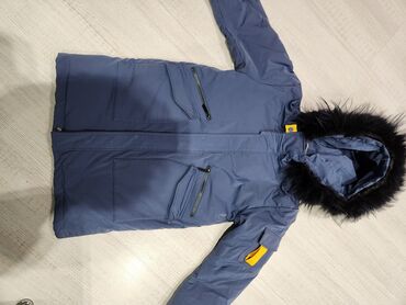 пиджак голубой: Куртка түсү - Көгүлтүр