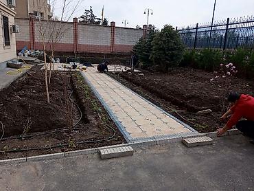 Газон: Газон
Автополив
Ландшафтный дизайн — 9