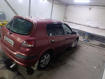 Nissan: Nissan Almera: 2001 г., 1.8 л, Механика, Бензин, Седан — 17