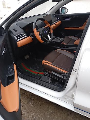 BYD: BYD E2: 2021 г., Автомат, Электромобиль, Хэтчбэк — 5