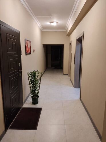 Uzunmüddətli kirayə mənzillər: Şərifzadə küçəsi, 2 otaq, 15/14 mərtəbə mansar deyil, mənzil kirayə — 10