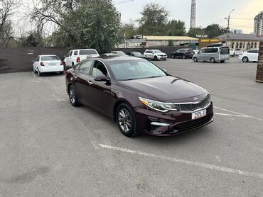 телефон держатель для автомобиля: Kia Optima: 2019 г., 2.4 л, Автомат, Бензин, Седан