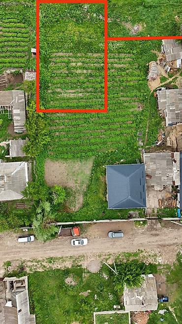 Земельные участки: 6 соток, Для строительства, Договор купли-продажи, Красная книга — 2