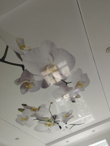 Натяжной потолок: Натяжной потолок Глянцевое, Матовое, 3D потолки Бесплатный замер, Гарантия, Монтаж — 30