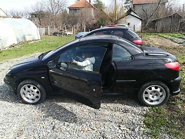 manuel auto: GEPEK ZA CC ZA PEUGEOT 206 | Delovi Peugeot 206 i otkup vozila za — 1