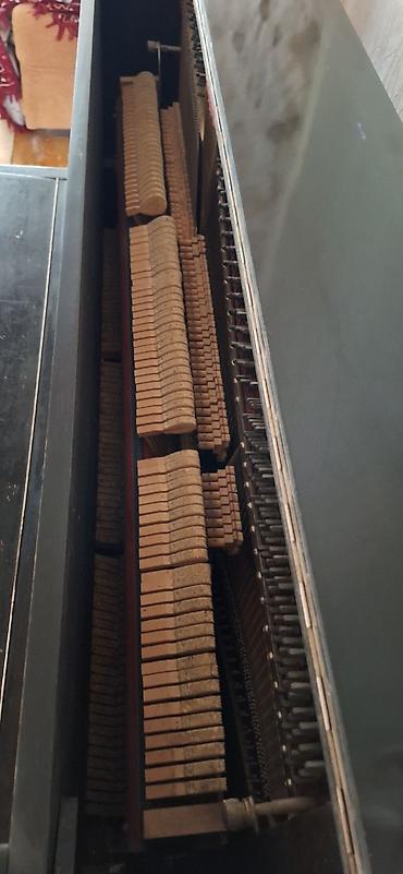 azerbaycan gitara mahnilari: Şəmkirdə Piano 88 klaviş Belarus istehsalı — 6