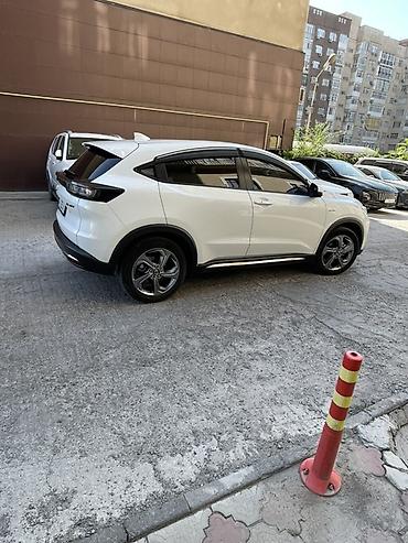 мв 100: Honda MNV
🔹Год выпуска-2022 
🔹Пробег-55км
🔹Запас ход-480км — 6