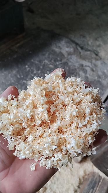 britanskiy kot: Məhsul: Quşçuluq üçün təbii ağac yonqarı (altlıq materialı) Təsvir: - — 4