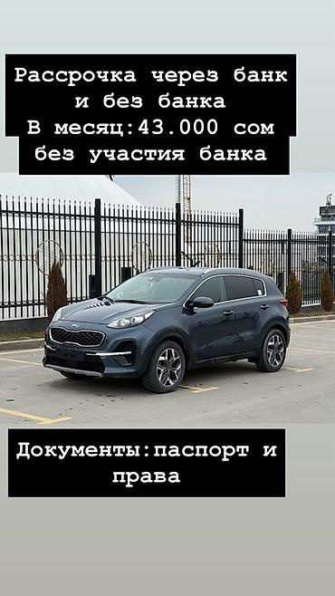 Kia: Kia Sportage: 2019 г., 2 л, Автомат, Дизель, Кроссовер — 1