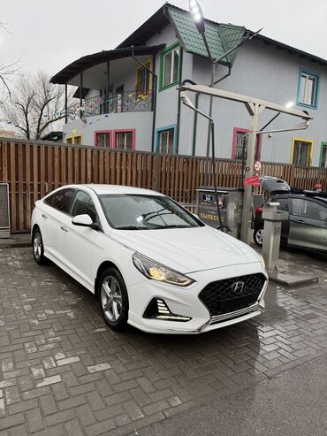 Hyundai: Hyundai Sonata: 2023 г., 2 л, Автомат, Газ, Седан — 2