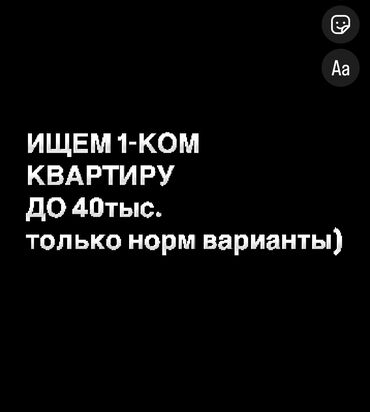 аламединский рынок квартира: 1 комната, 32 м², С мебелью