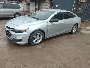 Chevrolet: Chevrolet Malibu: 2019 г., 1.5 л, Автомат, Бензин, Седан — 1