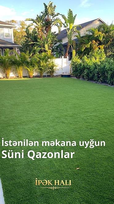 mürəbbə qiymətləri: 🌿 Hər fəsildə yaşıl görünən məkanlar üçün ideal seçim! Süni — 1
