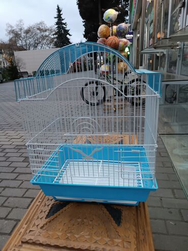 Dovşanlar: Dovşan yemləri 1-kilosu 2azn Dovşan balaları 5azn topdan Tək tək 9-azn — 15