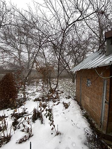 Продажа участков: 9 соток, Красная книга at lalafo.kg — 11 Продажа участков: 9 соток, Красная книга — 11