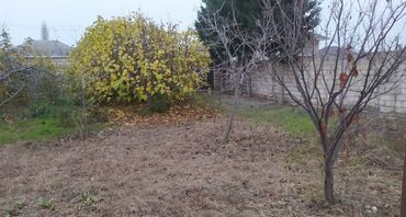 Torpaq sahələrinin satışı: 10 sot, Biznes üçün, Mülkiyyətçi, Kupça (Çıxarış) — 6