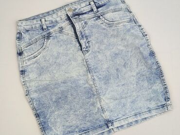 spódnice z piórami reserved: Janina, Women`s skirt, size L (EU 40)