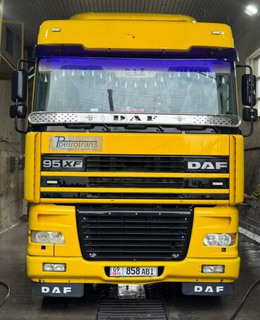 кенгурятник на даф: Сүйрөгүч, DAF, 2002 г., Өзү төкмө