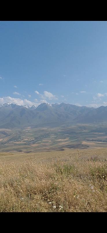 6 соток, Курулуш, Кызыл китеп — 1