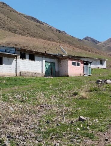 Продажа домов: Дом, 500 м², 1 комната, Агентство недвижимости, Старый ремонт — 13