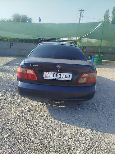 lada 9: Nissan Almera: 2004 г., 1.8 л, Автомат, Бензин, Седан — 4