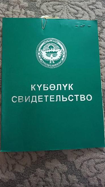 лесное: Продаю земельный участок 1га. в районе Новопокровки за БЧК. Прошу 20 т — 1
