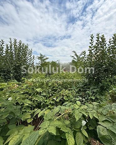 Продажа коттеджей и домов: 🏠Продается дом в с. Сокулук 🟡Комнаты: 3 🟡Участок: 12,81 соток (по — 5