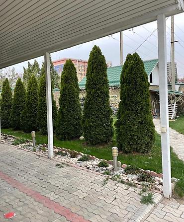 8000: 406 м², 6 комнат, Нижний Джал (Джал-23) — 4