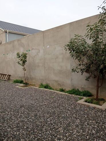 Həyət evləri və villaların satışı: Binə 4 otaqlı, 250 kv. m, Kredit yoxdur, Yeni təmirli — 15