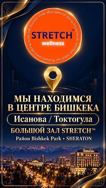 боль в спине: Студия Stretch Wellness — профессиональные тренировки по стретчингу и — 5