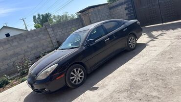 машина тойота виндом: Toyota Camry: 2003 г., 2 л, Автомат, Бензин, Седан