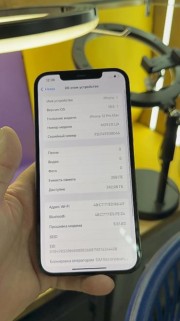 Apple iPhone: IPhone 12 Pro Max, Б/у, 256 ГБ, 82 % at lalafo.kg — 9 Apple iPhone: IPhone 12 Pro Max, Б/у, 256 ГБ, 82 % — 9
