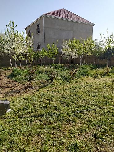 2 sot nece kv metrdir: 7 sot, Kənd təsərrüfatı, Kupça (Çıxarış) — 5