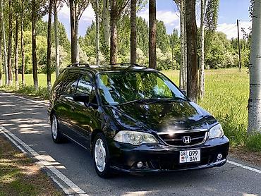 devo matiz: Honda Odyssey: 2002 г., 2.3 л, Автомат, Бензин, Универсал — 5